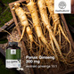 Image preview 2
